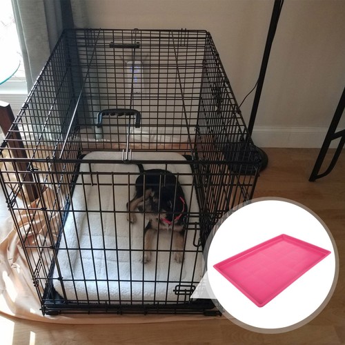 Pink plastic dog - pink, crate