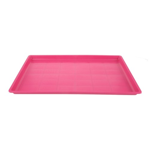 Reusable durable plastic - plastic, dog